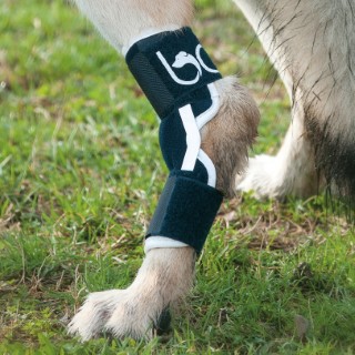 Soft dog hock brace with splints