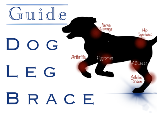 Guide to understand dog leg brace